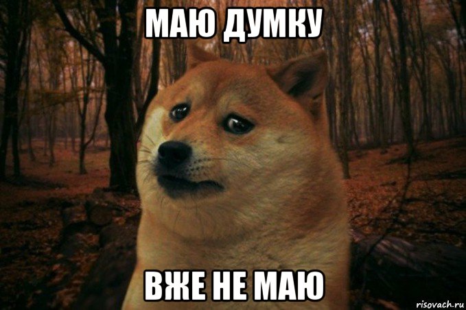 маю думку вже не маю, Мем SAD DOGE