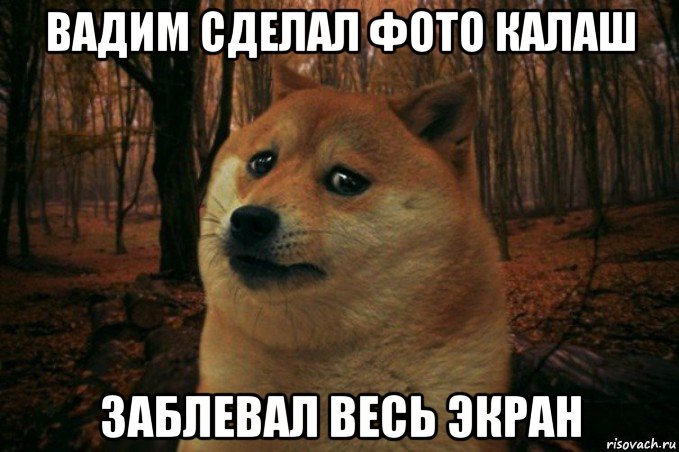 вадим сделал фото калаш заблевал весь экран, Мем SAD DOGE