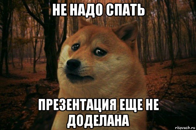 не надо спать презентация еще не доделана, Мем SAD DOGE