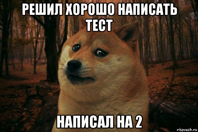 решил хорошо написать тест написал на 2, Мем SAD DOGE