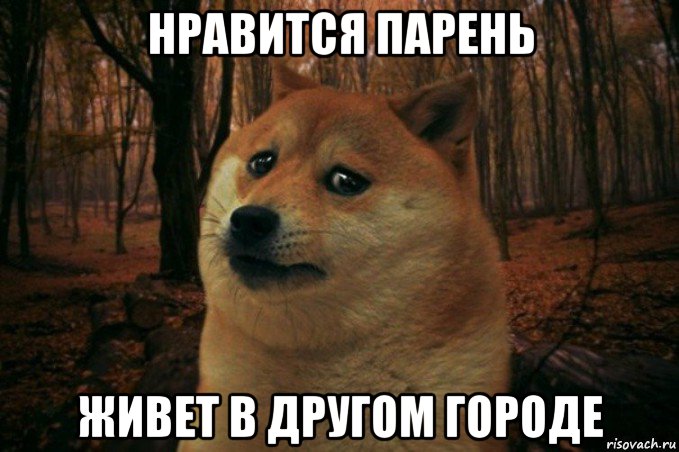 нравится парень живет в другом городе, Мем SAD DOGE