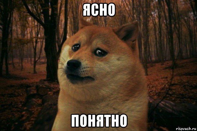 ясно понятно, Мем SAD DOGE