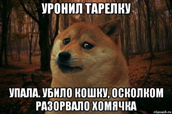 уронил тарелку упала. убило кошку, осколком разорвало хомячка, Мем SAD DOGE