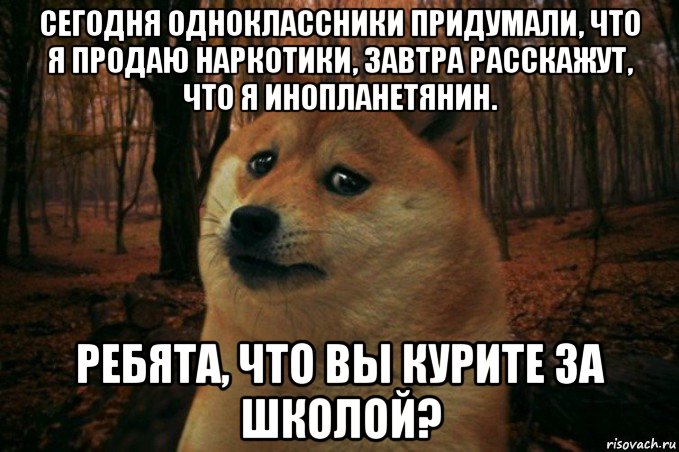 сегодня одноклассники придумали, что я продаю наркотики, завтра расскажут, что я инопланетянин. ребята, что вы курите за школой?, Мем SAD DOGE