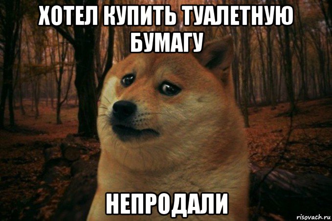 хотел купить туалетную бумагу непродали, Мем SAD DOGE