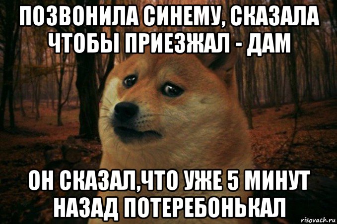 позвонила синему, сказала чтобы приезжал - дам он сказал,что уже 5 минут назад потеребонькал, Мем SAD DOGE