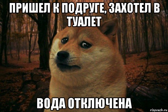 пришел к подруге, захотел в туалет вода отключена, Мем SAD DOGE