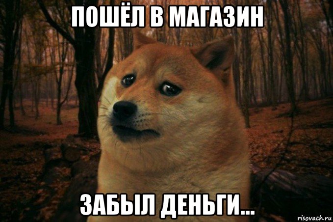 пошёл в магазин забыл деньги..., Мем SAD DOGE