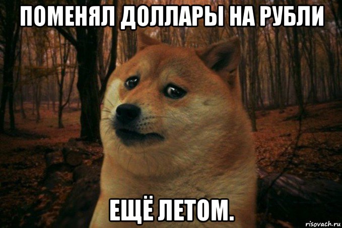 поменял доллары на рубли ещё летом., Мем SAD DOGE