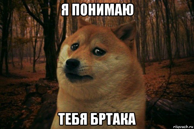 я понимаю тебя бртака, Мем SAD DOGE