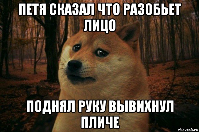 петя сказал что разобьет лицо поднял руку вывихнул пличе, Мем SAD DOGE