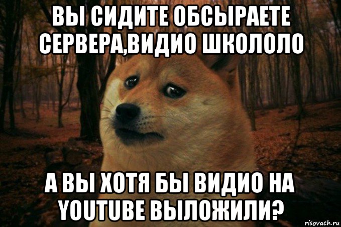 вы сидите обсыраете сервера,видио школоло а вы хотя бы видио на youtube выложили?, Мем SAD DOGE