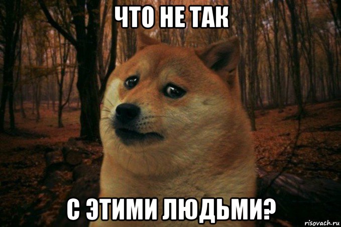 что не так с этими людьми?, Мем SAD DOGE