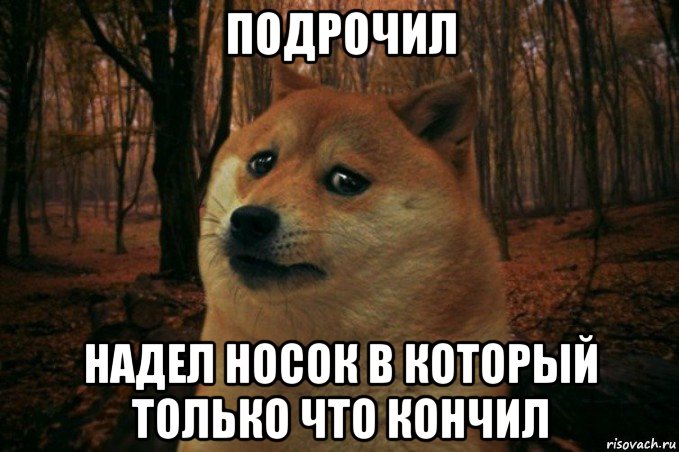 подрочил надел носок в который только что кончил, Мем SAD DOGE