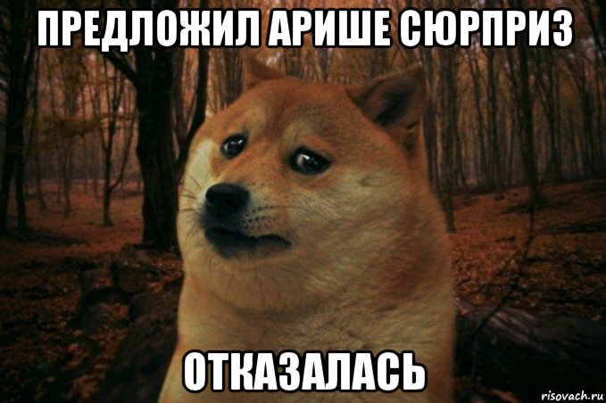 предложил арише сюрприз отказалась, Мем SAD DOGE