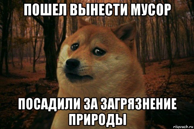 пошел вынести мусор посадили за загрязнение природы, Мем SAD DOGE