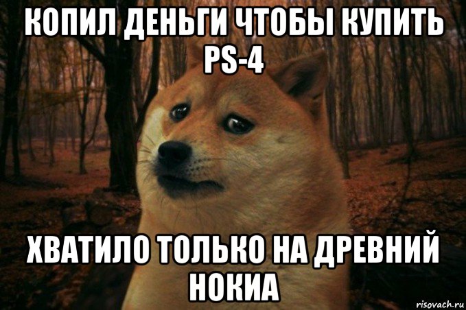 копил деньги чтобы купить ps-4 хватило только на древний нокиа, Мем SAD DOGE