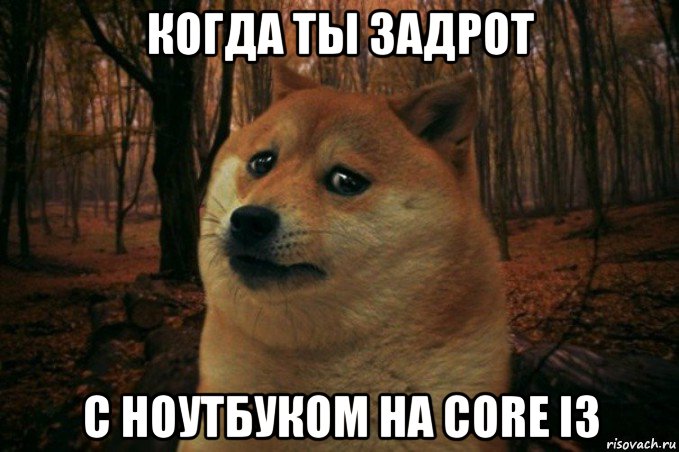 когда ты задрот с ноутбуком на core i3, Мем SAD DOGE