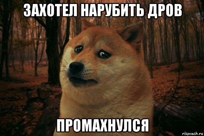 захотел нарубить дров промахнулся, Мем SAD DOGE