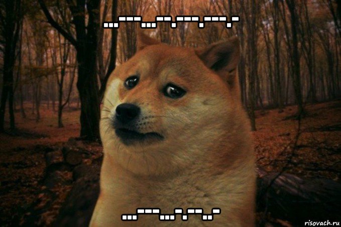 ...---...--.---.---.- ...---...-.--..-, Мем SAD DOGE