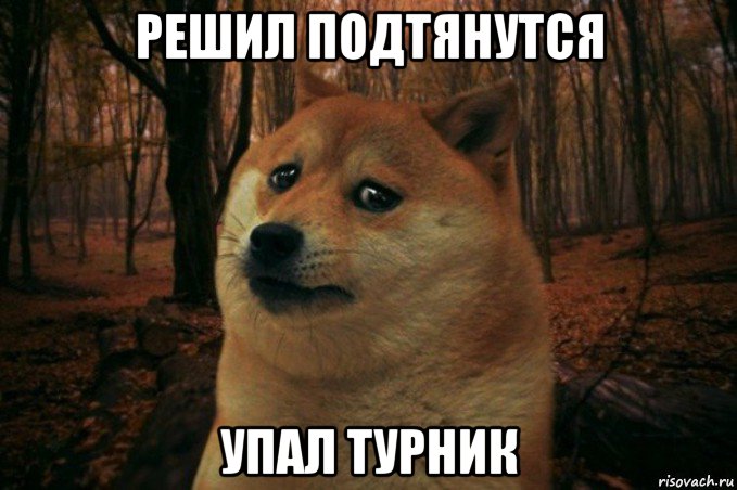 решил подтянутся упал турник, Мем SAD DOGE