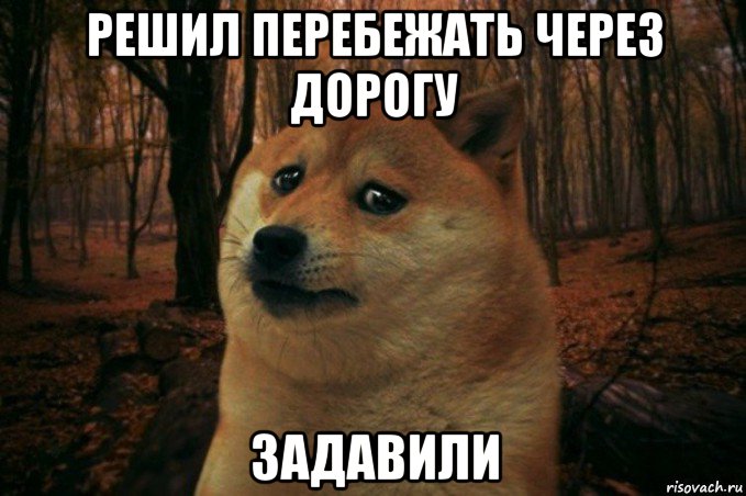 решил перебежать через дорогу задавили, Мем SAD DOGE