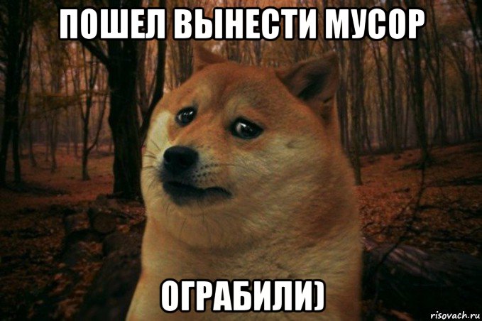 пошел вынести мусор ограбили), Мем SAD DOGE