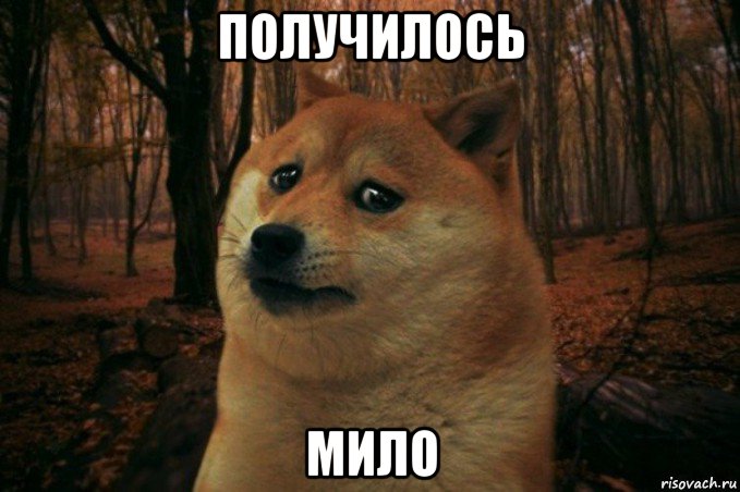 получилось мило, Мем SAD DOGE