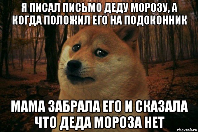 я писал письмо деду морозу, а когда положил его на подоконник мама забрала его и сказала что деда мороза нет, Мем SAD DOGE