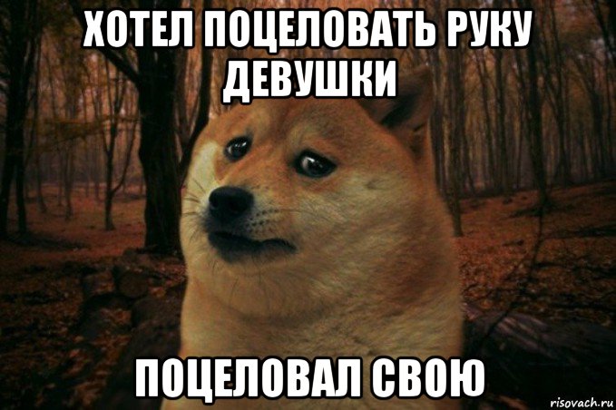 хотел поцеловать руку девушки поцеловал свою, Мем SAD DOGE