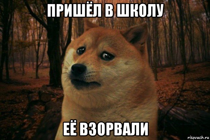 пришёл в школу её взорвали, Мем SAD DOGE