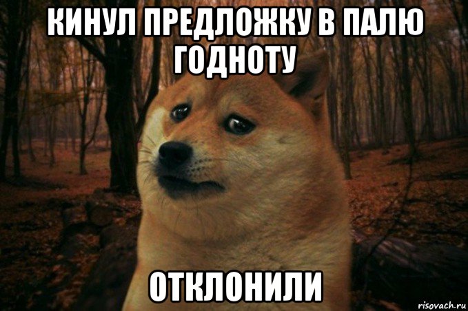 кинул предложку в палю годноту отклонили, Мем SAD DOGE