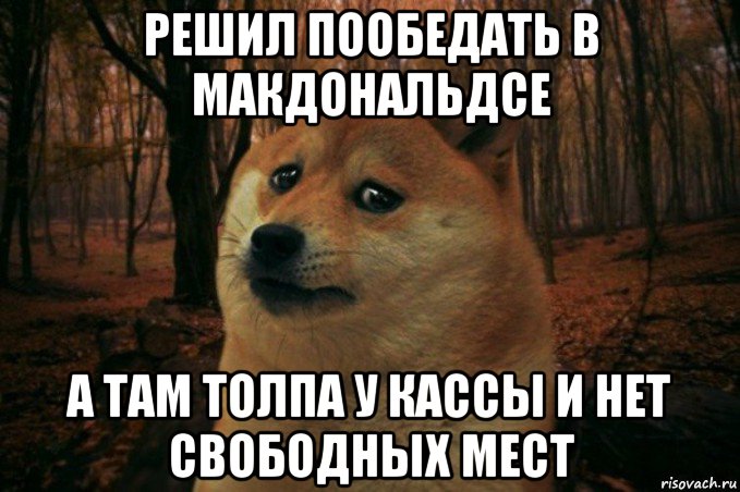 решил пообедать в макдональдсе а там толпа у кассы и нет свободных мест, Мем SAD DOGE