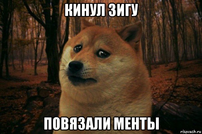 кинул зигу повязали менты, Мем SAD DOGE