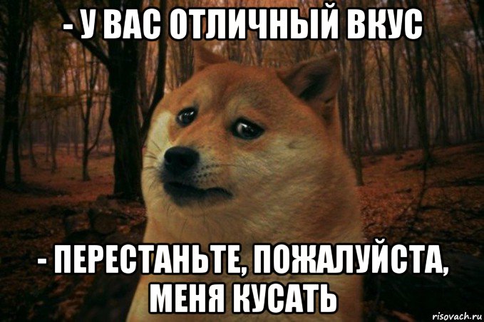 - у вас отличный вкус - перестаньте, пожалуйста, меня кусать, Мем SAD DOGE