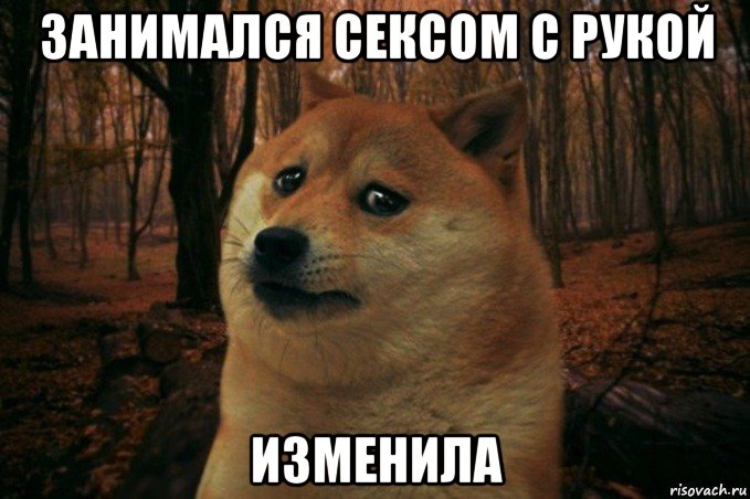 занимался сексом с рукой изменила, Мем SAD DOGE