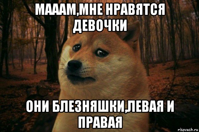 мааам,мне нравятся девочки они блезняшки,левая и правая, Мем SAD DOGE