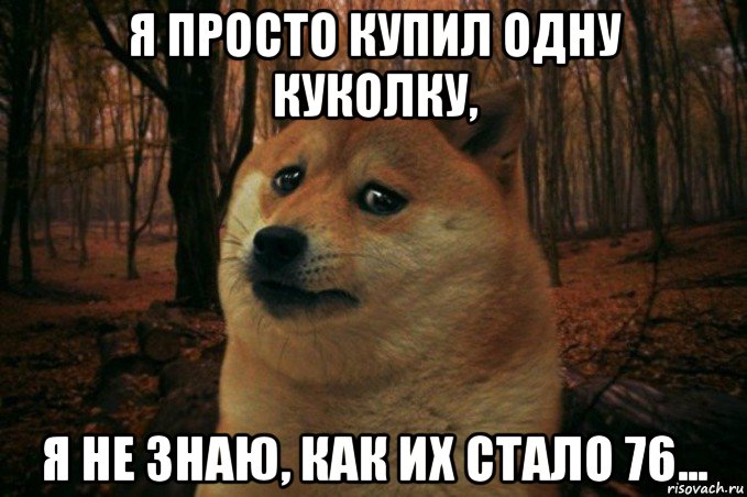 я просто купил одну куколку, я не знаю, как их стало 76..., Мем SAD DOGE