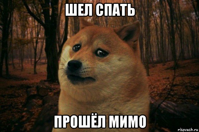 шел спать прошёл мимо, Мем SAD DOGE