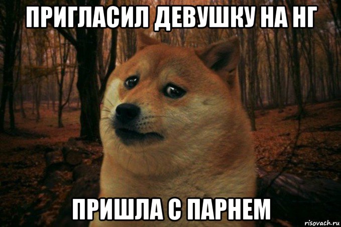 пригласил девушку на нг пришла с парнем, Мем SAD DOGE