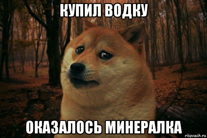 купил водку оказалось минералка, Мем SAD DOGE