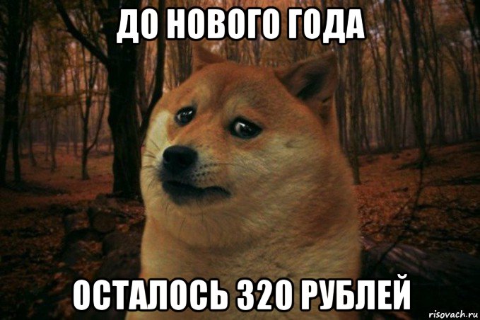 до нового года осталось 320 рублей, Мем SAD DOGE