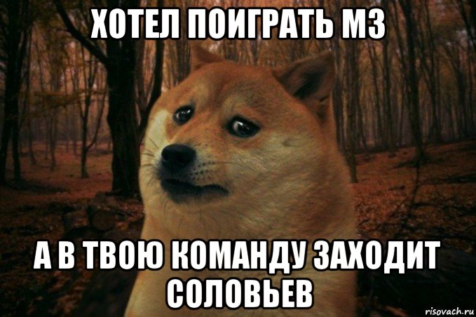 хотел поиграть мз а в твою команду заходит соловьев, Мем SAD DOGE