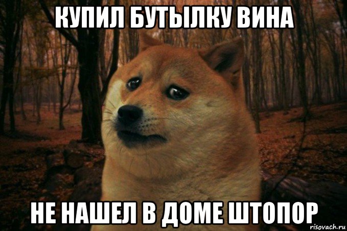 купил бутылку вина не нашел в доме штопор, Мем SAD DOGE