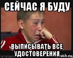 сейчас я буду выписывать все удостоверения, Мем  Сашок Фокин