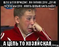 щас батя приедит , по голове дас ...да не то что бы дас . опять цепью бить будет .. а цепь то хозяйская ...., Мем  Сашок Фокин