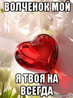 волченок мой я твоя на всегда