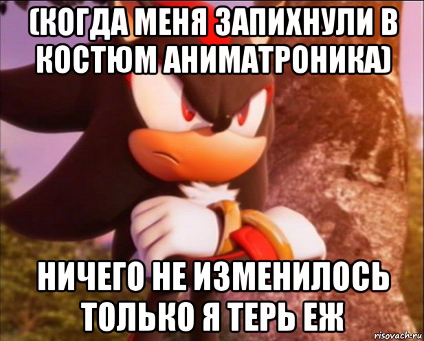 (когда меня запихнули в костюм аниматроника) ничего не изменилось только я терь еж