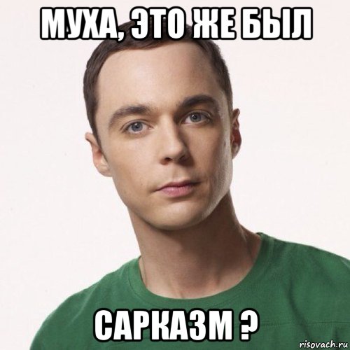 муха, это же был сарказм ?, Мем шелдон купер