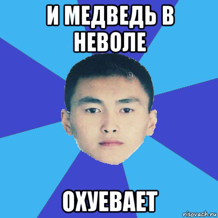 и медведь в неволе охуевает